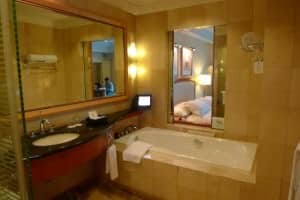bathroom-with-a-view